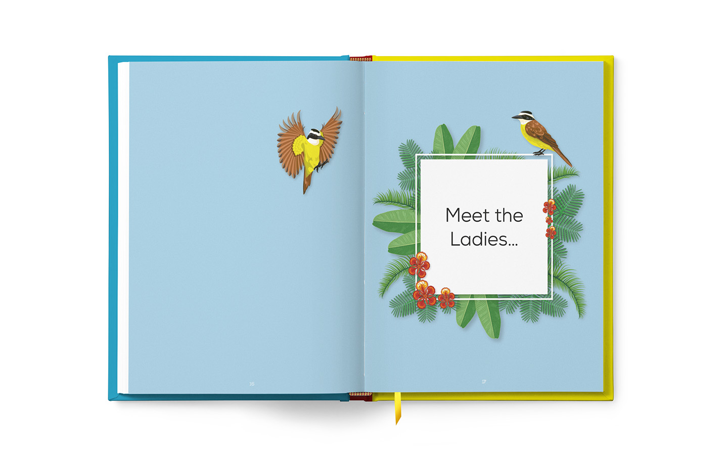 Meneer-Kelderman_Kiskadee-Days-Boek_Binnenwerk-16-17_01