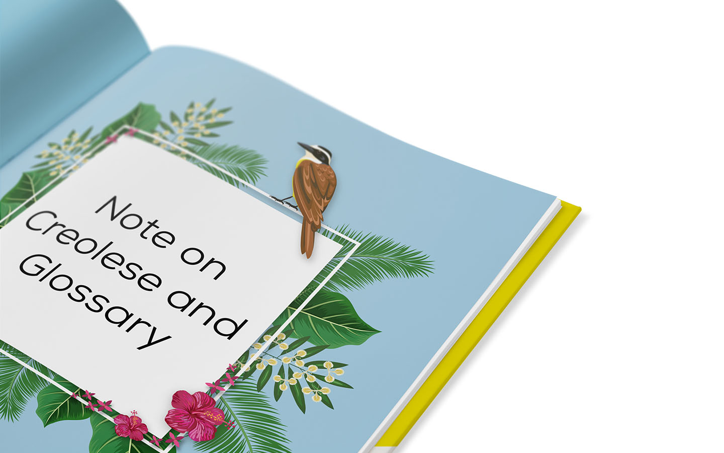 Meneer-Kelderman_Kiskadee-Days-Boek_Binnenwerk-P212-213_01