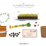 Meneer-Kelderman_Kiskadee-Days-Boek_Illustraties_02_Guyanese HeritageGuyanese Heritage
