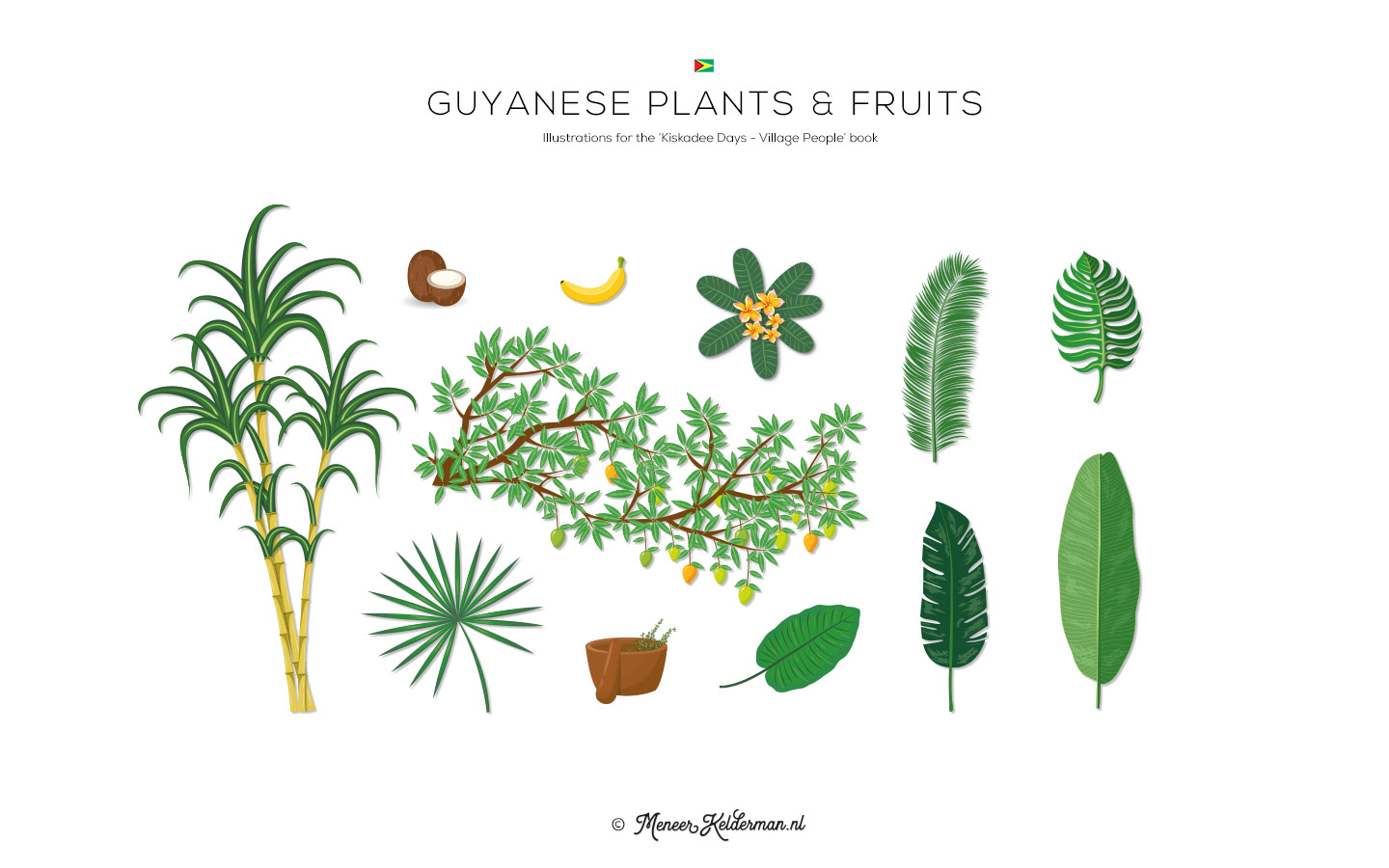 Meneer-Kelderman_Kiskadee-Days-Boek_Illustraties_02_Guyanese plants & fruits