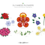 Meneer-Kelderman_Kiskadee-Days-Boek_Illustraties_02_Guyanese flowers